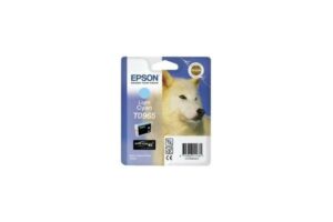 Epson E96540 cyli - Epson T096540