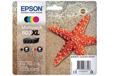 Epson E603XL XL (bk