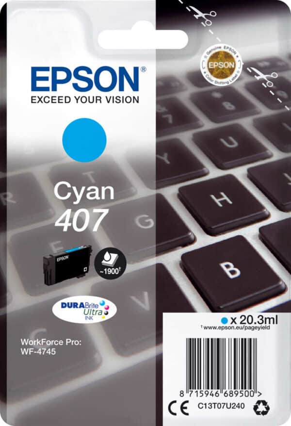 Epson E407C c - Epson No. 407C