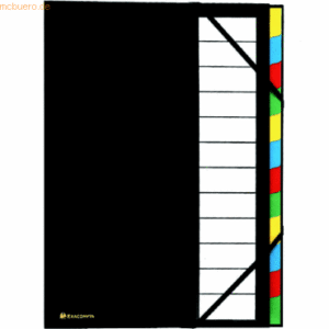 6 x Exacompta Ordnungsmappe Ordonator A4 12 Fächer schwarz