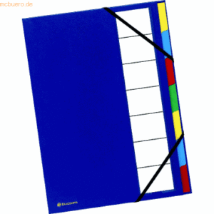 6 x Exacompta Ordnungsmappe Ordonator A4 7 Fächer blau