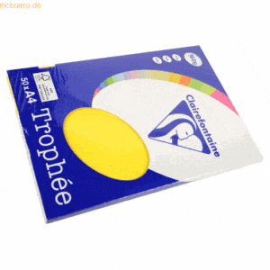 5 x Clairefontaine Kopierpapier Trophee A4 160g/qm VE=50 Blatt kanarie