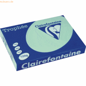 5 x Clairefontaine Kopierpapier Trophee A4 120g/qm VE=250 Blatt hellgr