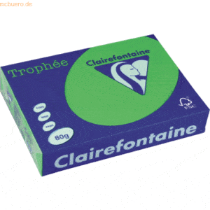 Clairefontaine Kopierpapier Trophee A4 80g/qm VE=500 Blatt minze/maigr