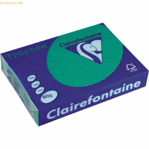 Clairefontaine Kopierpapier Trophee A4 80g/qm VE=500 Blatt tannengrün/