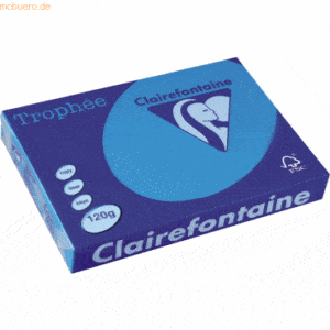 5 x Clairefontaine Kopierpapier Trophee A4 120g/qm VE=250 Blatt karibi