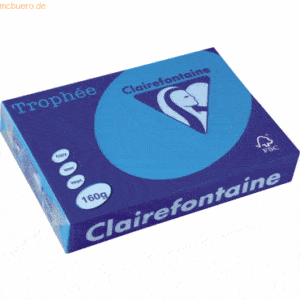 4 x Clairefontaine Kopierpapier Trophee A4 160g/qm VE=250 Blatt karibi