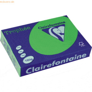 4 x Clairefontaine Kopierpapier Trophee A4 160g/qm VE=250 Blatt minze/