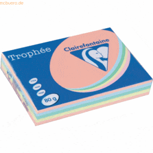 Clairefontaine Kopierpapier Rodeco A4 farbig sortiert Pastellfarben VE