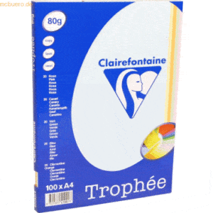 10 x Clairefontaine Kopierpapier Trophee A4 80g/qm 100 Blatt farbig so
