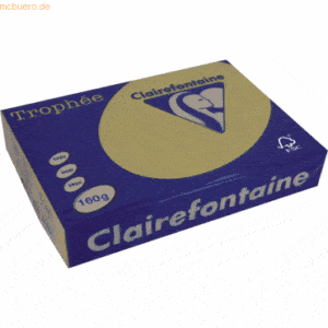 4 x Clairefontaine Kopierpapier Trophee Pastell A4 160g/qm goldgelb VE