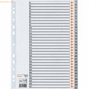 Bene Register A4 PP 1-31 grau