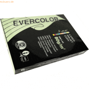 5 x Clairefontaine Kopierpapier Forever Evercolor DIN A3 hellgrün 80 g