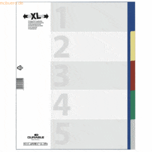 20 x Durable Register A4+ blanko PP 5-teilig farbig