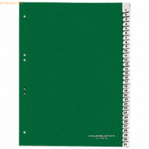 Durable Register A4 blanko 31-teilig grün