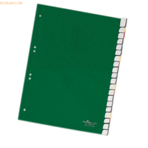 Durable Register A4 blanko 20-teilig grün