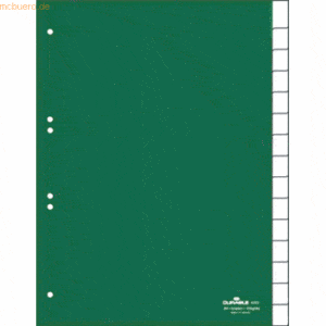 Durable Register A4 blanko 15-teilig grün