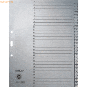 Leitz Register A4 1-31 100g/qm grau