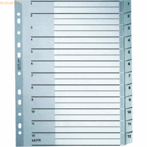 Leitz Register A4 1-12 PP grau mit Deckblatt