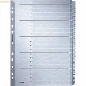 Leitz Register A4 1-20 160g/qm Karton grau