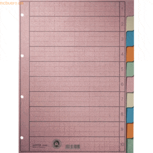 Leitz Register A4 blanko 130g/qm Papier 5-teilig farbig