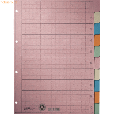 Leitz Register A4 blanko 130g/qm Papier 5-teilig farbig