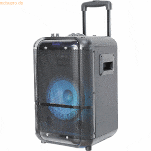 Denver Denver 8- Bluetooth-Trolley-Lautsprecher TSP-306