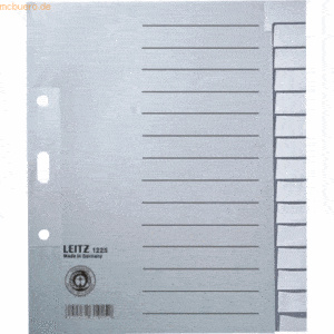 Leitz Register A5hoch blanko 15-teilig 100g/qm grau