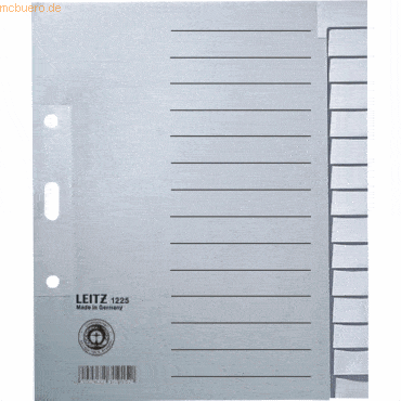 Leitz Register A5hoch blanko 15-teilig 100g/qm grau