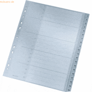 Leitz Register A4 1-20 PP grau mit Deckblatt