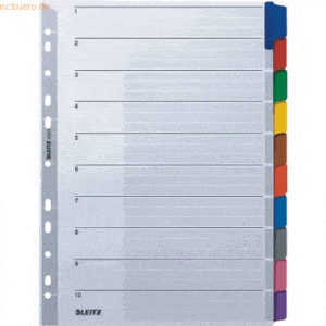 Leitz Register A4 blanko 10-teilig 160g/qm grau