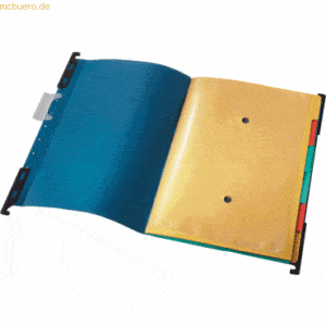 Leitz Hängemappe Divide-it-Up mit 6 Fächern Colorspankarton blau