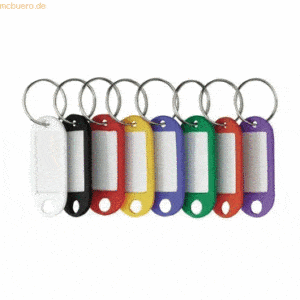 Alco Schlüsselanhänger Kunststoff VE=25 Stück farbig sortiert