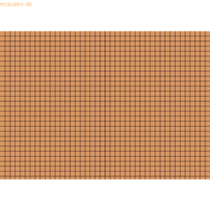 Brunnen Karteikarten A5 kariert orange VE=100 Stück