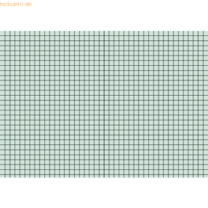 Brunnen Karteikarten A5 kariert grün VE=100 Stück