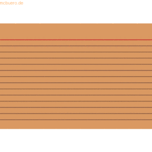 Brunnen Karteikarten A6 liniert orange VE=100 Stück