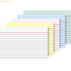 Brunnen Karteikarten A6 liniert farbig sortiert VE=100 Stück