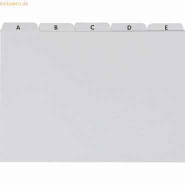 Brunnen Karteiregister A5 Kunststoff 25-teilig A-Z grau