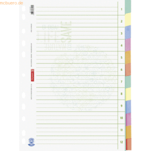 10 x Brunnen Register A4 12-teilig Karton blanko grau farbige Taben