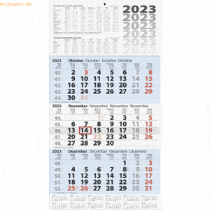 Brunnen 3-Monatskalender Wandkalender 2023 30x58cm einteilig