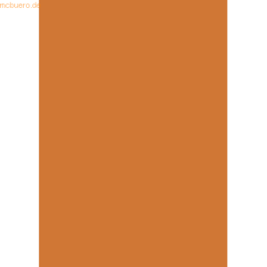 10 x Heyda Plakatkarton 380g/qm 48x68cm leucht-orange