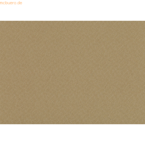 10 x Heyda Bastelkarton Milano 50x70cm natur braun