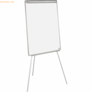 Bi-Office Flipchart Earth-It 70x100cm grau