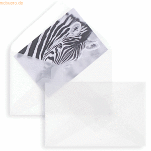 Blanke Briefumschläge Offset transparent 62x98mm 90g/qm NK VE=100 Stüc