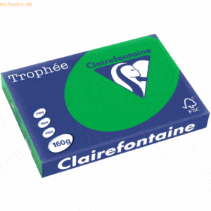 4 x Clairefontaine Kopierpapier Trophee A3 160g/qm VE=250 Blatt billar