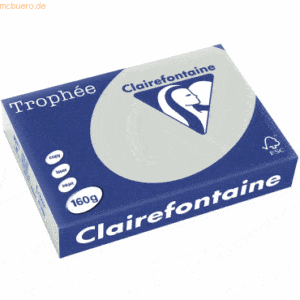 4 x Clairefontaine Kopierpapier Trophee A4 160g/qm VE=250 Blatt stahlg