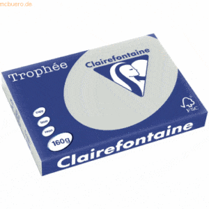 4 x Clairefontaine Kopierpapier Trophee A3 160g/qm VE=250 Blatt stahlg