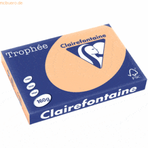 4 x Clairefontaine Kopierpapier Trophee A3 160g/qm VE=250 Blatt apriko