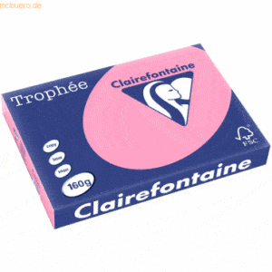 4 x Clairefontaine Kopierpapier Trophee A3 160g/qm VE=250 Blatt hecken