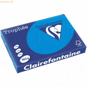 4 x Clairefontaine Kopierpapier Trophee A3 160g/qm VE=250 Blatt karibi